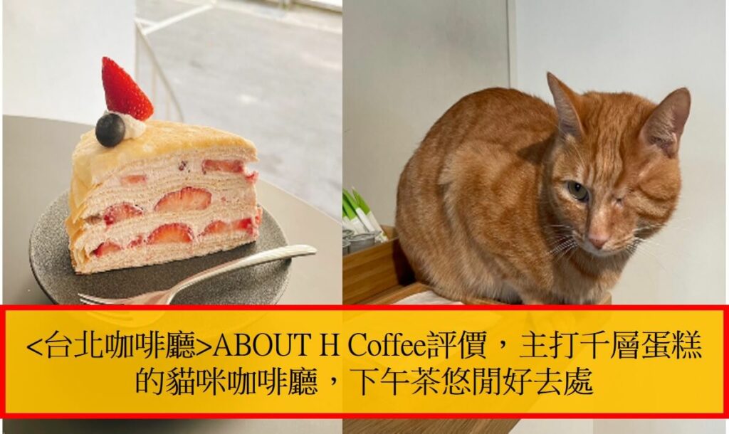 台北咖啡廳ABOUT H Coffee評價，主打千層蛋糕的貓咪咖啡廳，下午茶悠閒好去處