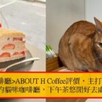 台北咖啡廳ABOUT H Coffee評價，主打千層蛋糕的貓咪咖啡廳，下午茶悠閒好去處